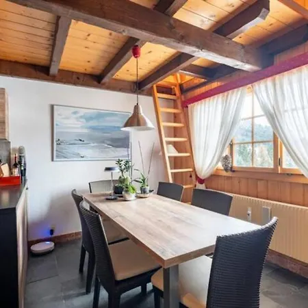 In/out 3 Bedrooms, Fireplace & Balcony W. View Apartamento Ollon